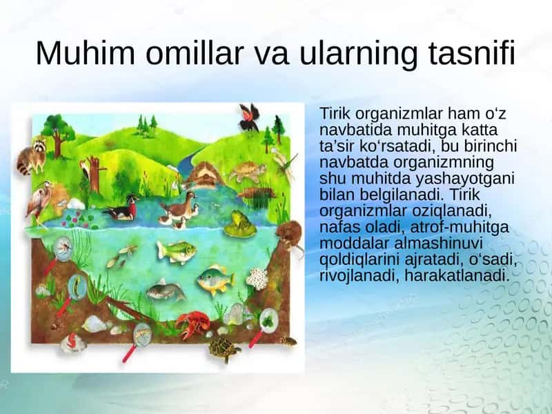 Muhit omillari va ularning tasnifi 1