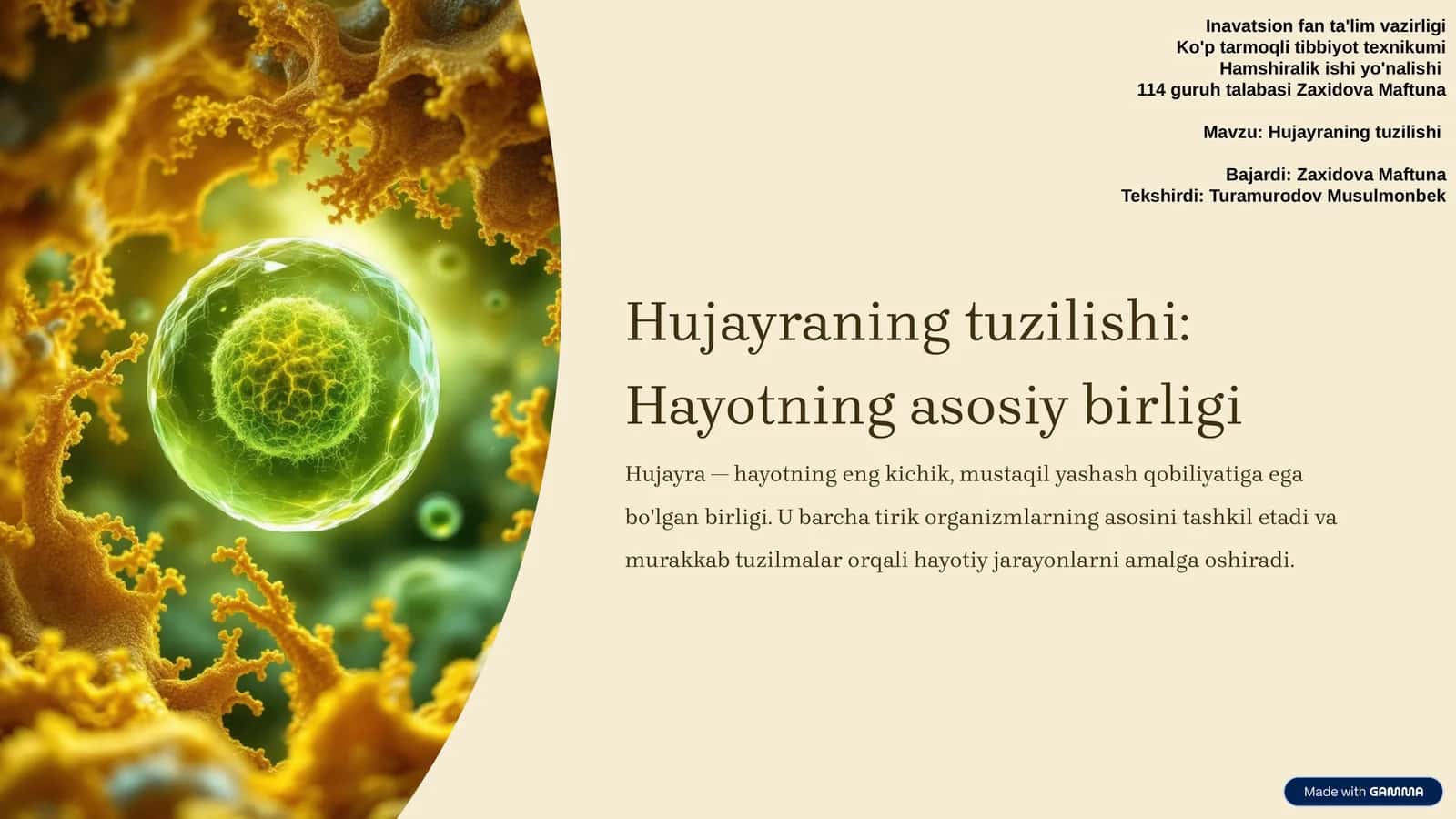 Hujayraning tuzilishi 1
