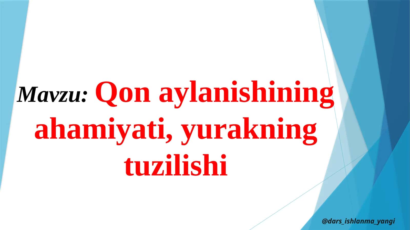 Qonaylanishining ahamiyati, yurakning tuzilishi 1