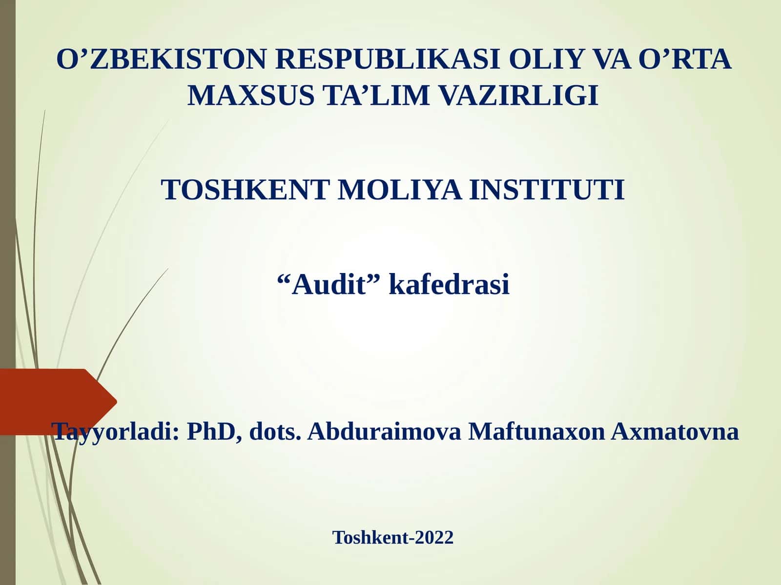 AUDITORLIK TEKSHIRUVINI REJALASHTIRISH 1