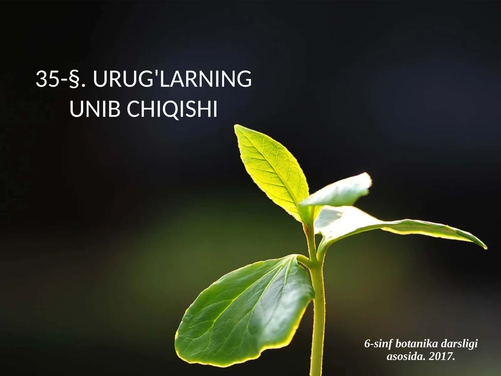 6-sinf Botanika Urug'larning unib chiqishi 1