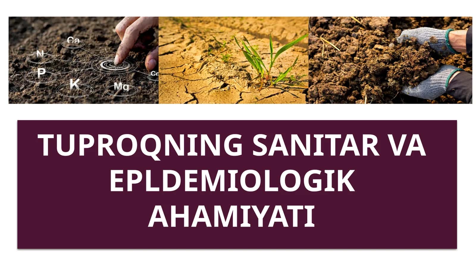 Tuproqning sanitar-vaepldemiologikahamiyati 1