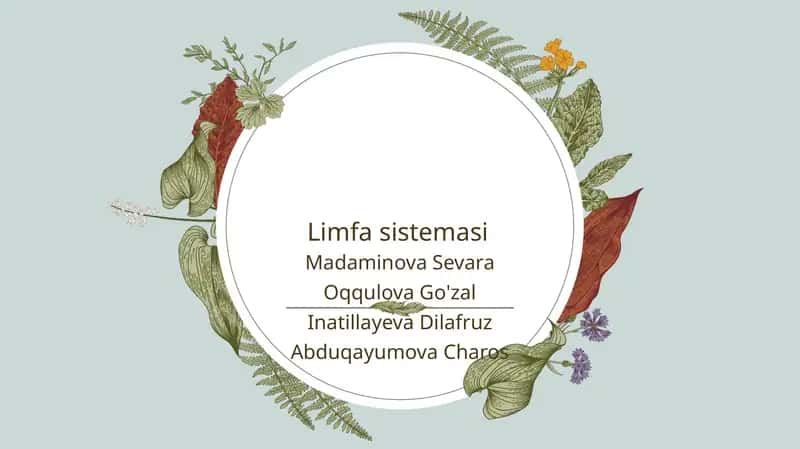 Limfa sistemasi 1