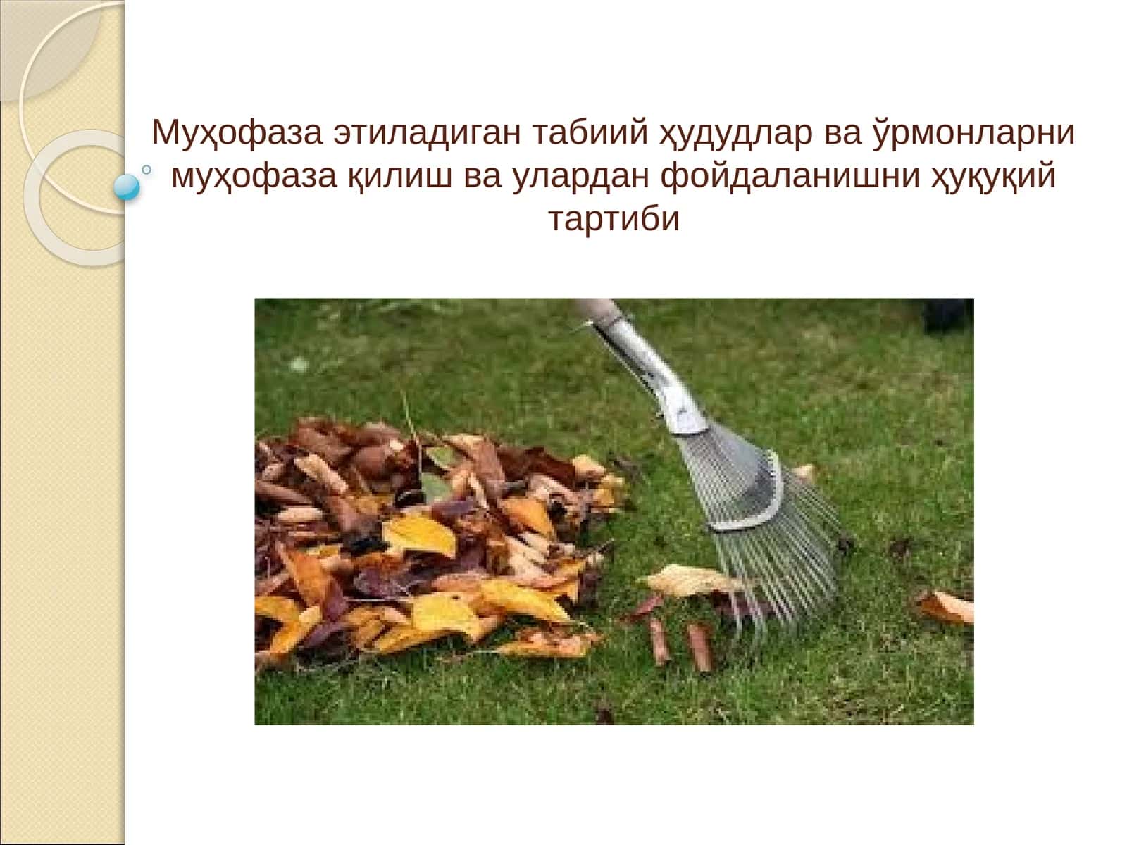 Муҳофазаэтиладиган табиий ҳудудлар ва ўрмонларни муҳофаза қилиш ва улардан фойдаланишни ҳуқуқийтартиби 1