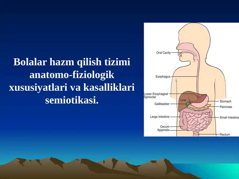 Ovqat hazm qilish tizimi 1