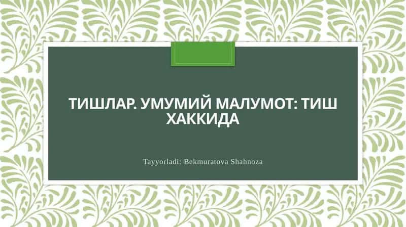Тишларнинг анатомияси ва физиологияси 1