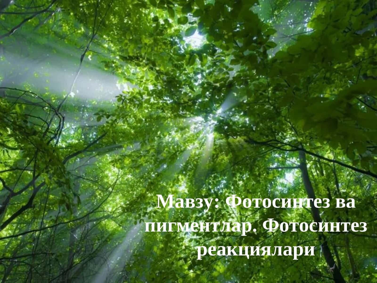 ФОТОСИНТЕЗ 1