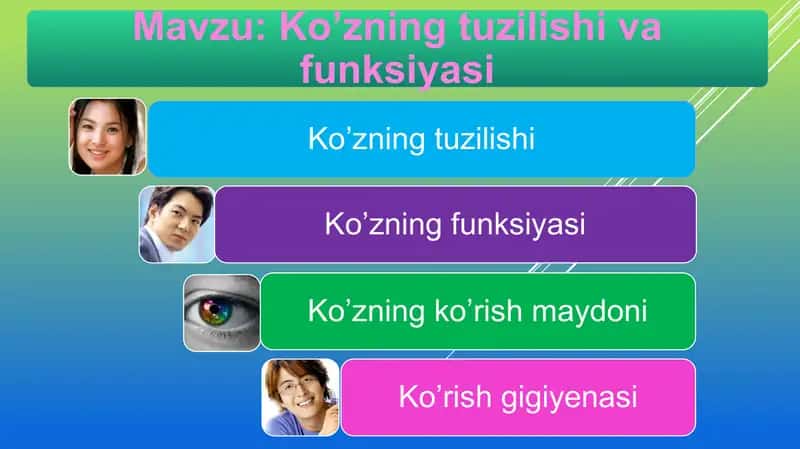 Ko’zning tuzilishi va funksiyasi 1