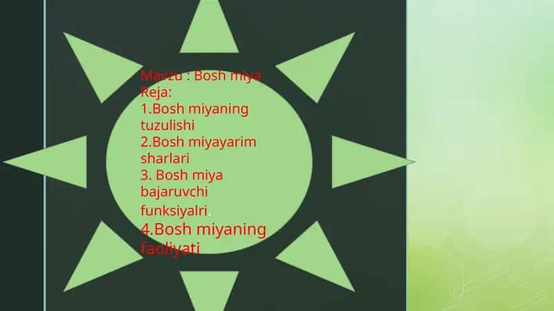 BOSH MIYA 1