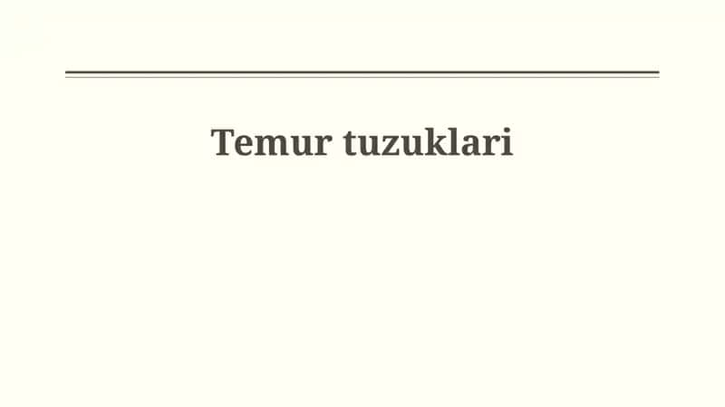 Temur tuzuklari 1