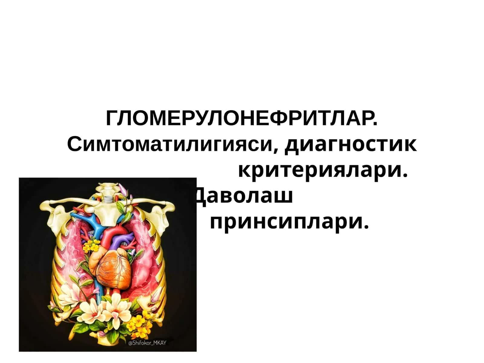 ГЛОМЕРУЛОНЕФРИТ 1