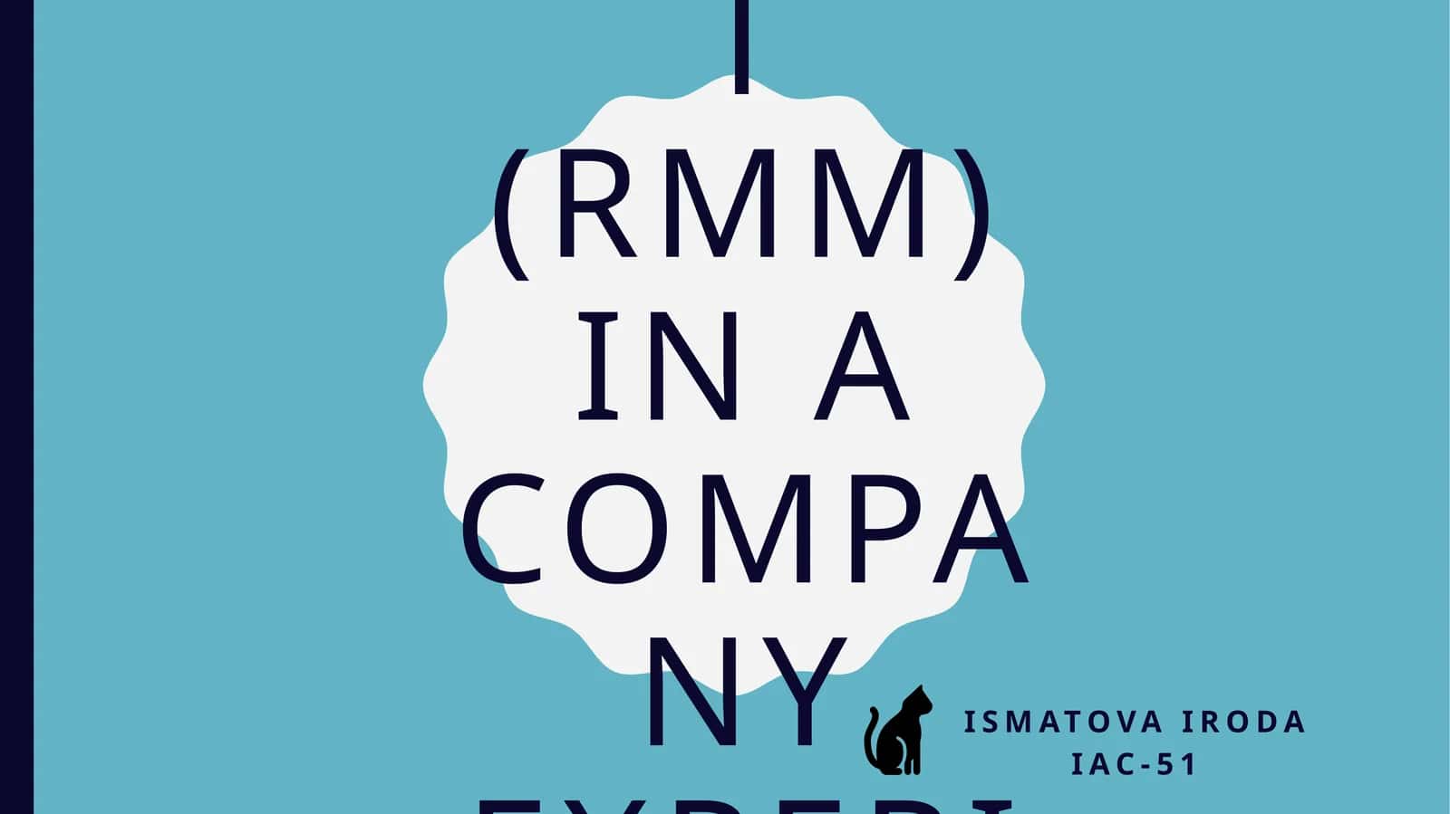 Risk of Material Misstatement (RMM) in a Rapid-Growth Company 1
