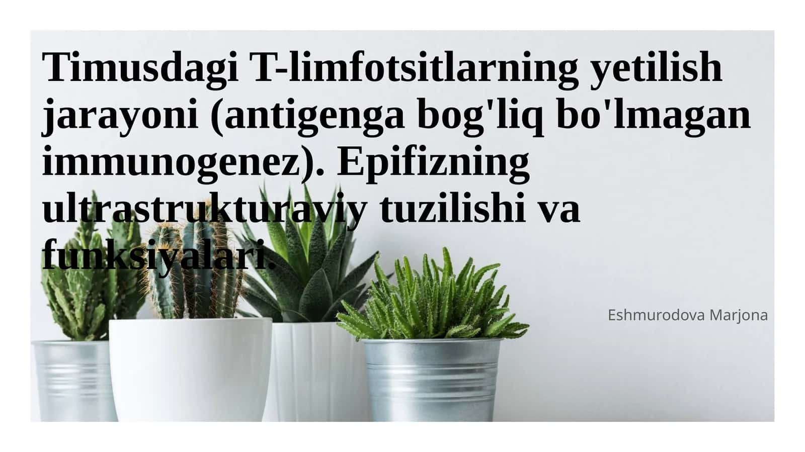 Timusdagi T-limfotsitlarning yetilish jarayoni (antigenga bog'liq bo'lmagan immunogenez). Epifizning ultrastrukturaviy tuzilishi va funksiyalari 1