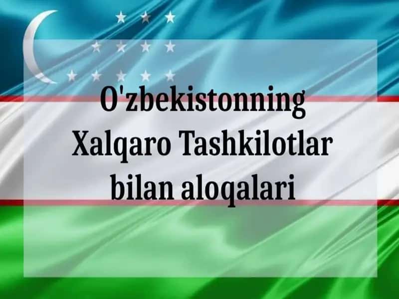 Xalqaro Tashkilotlar 1