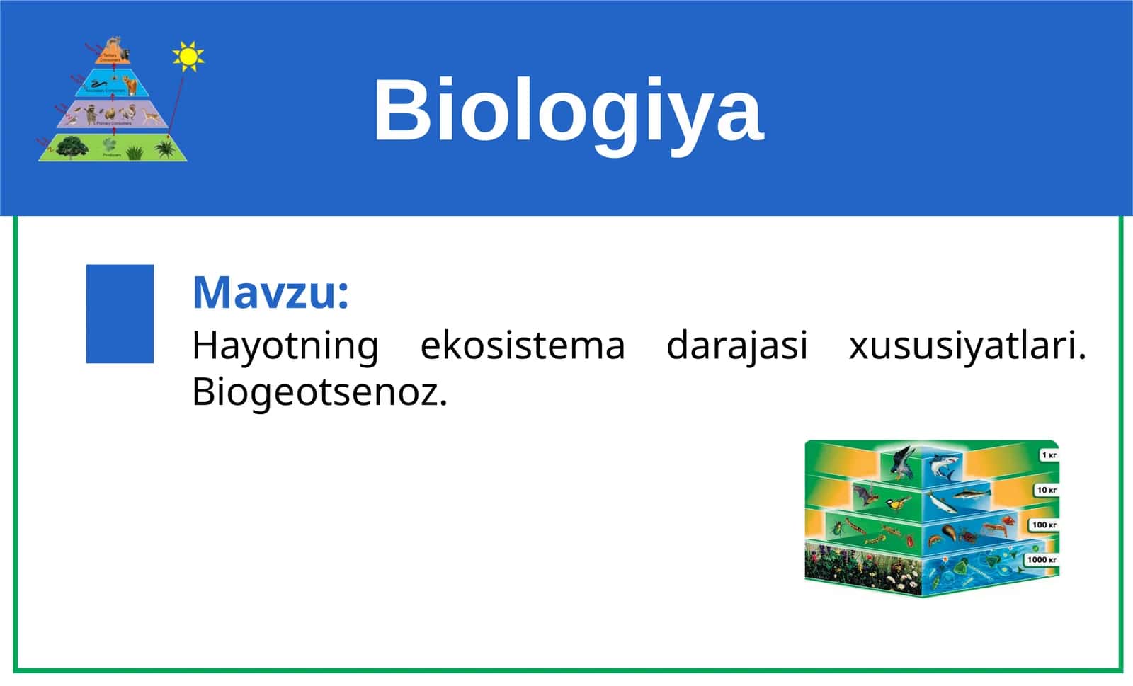 Hayotning ekosistemalar darajasi xususiyatlari. Biogeotsenoz 1