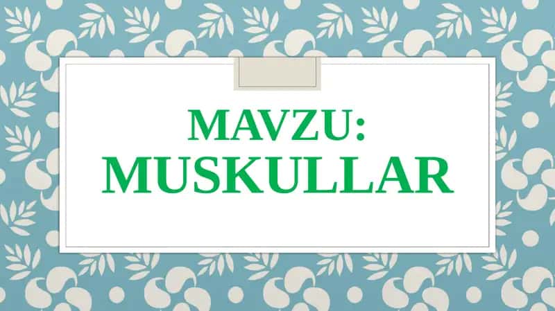 Muskullar 1