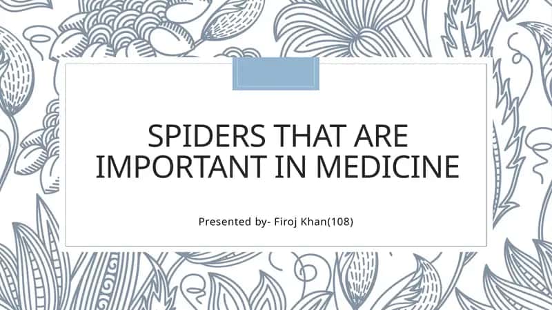 Spiders that are important in medicine 1