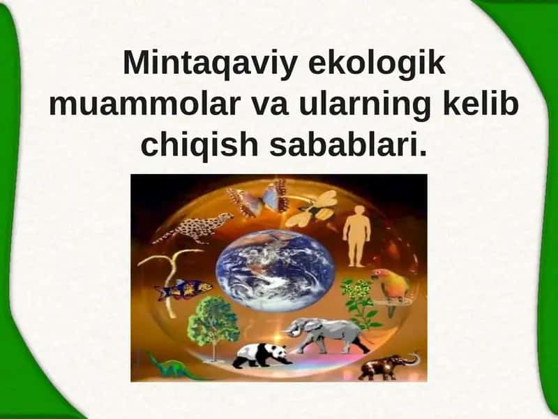 Mintaqaviy ekologik muammolar va ularning kelib chiqish sabablari 1