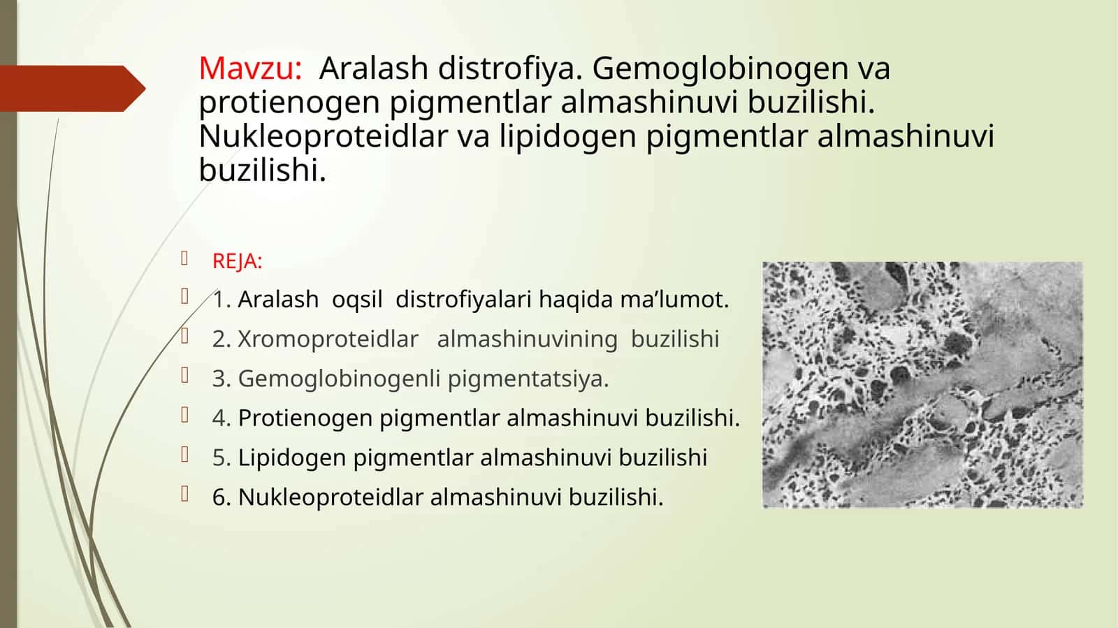 Aralash distrofiya. Gemoglobinogen va protienogen pigmentlar almashinuvibuzilishi. Nukleoproteidlar va lipidogen pigmentlar almashinuvibuzilishi 1