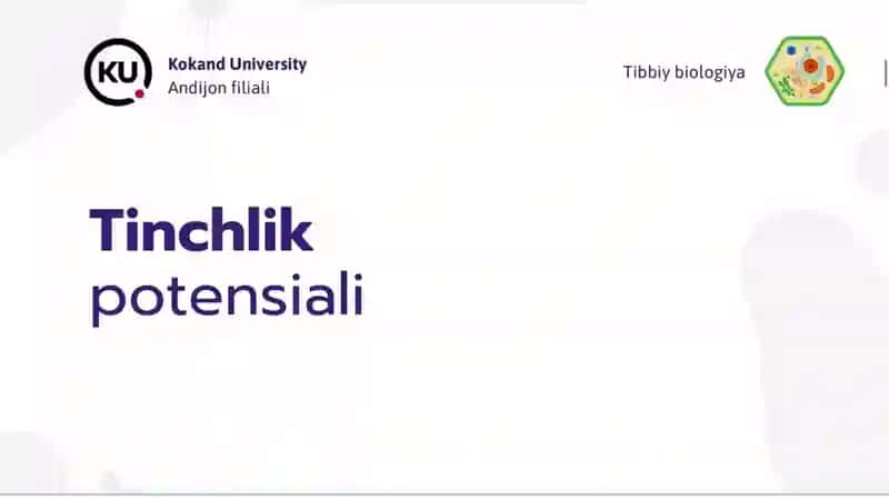 Tinchlik potensiali