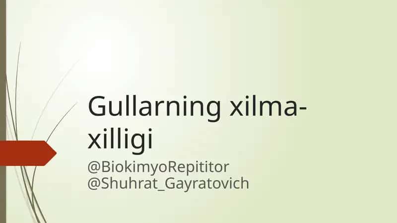 Gullarning xilma-xilligi 1