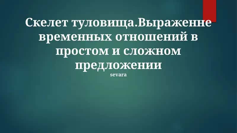 Скелет туловища 1