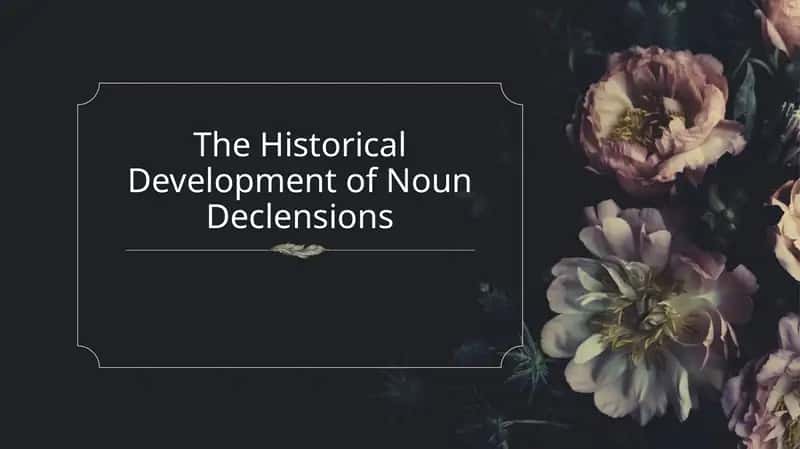 The Historical Development of Noun Declensions 1