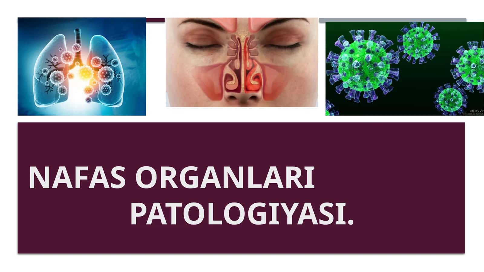 Nafas organlari patologiyasi 1