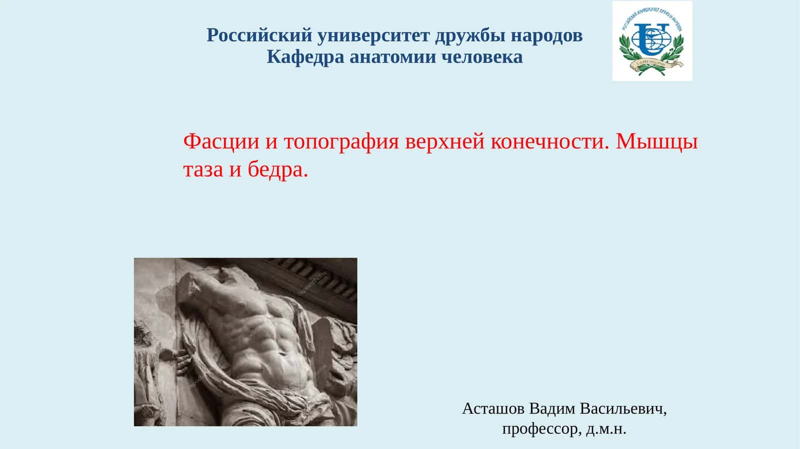 Фасции и топография верхней конечности. Мышцы таза и бедра 1