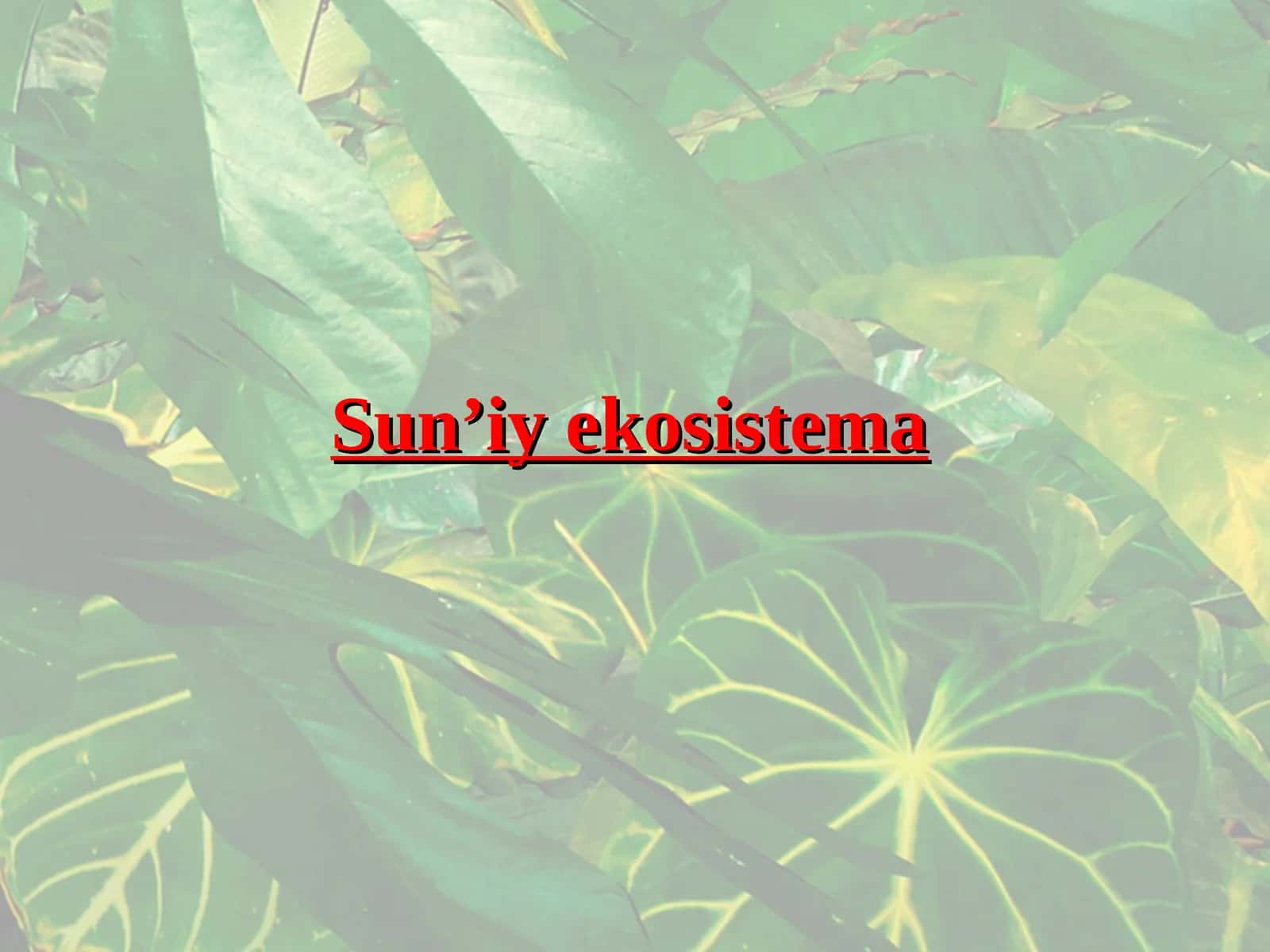 Sun’iy ekosistema 1