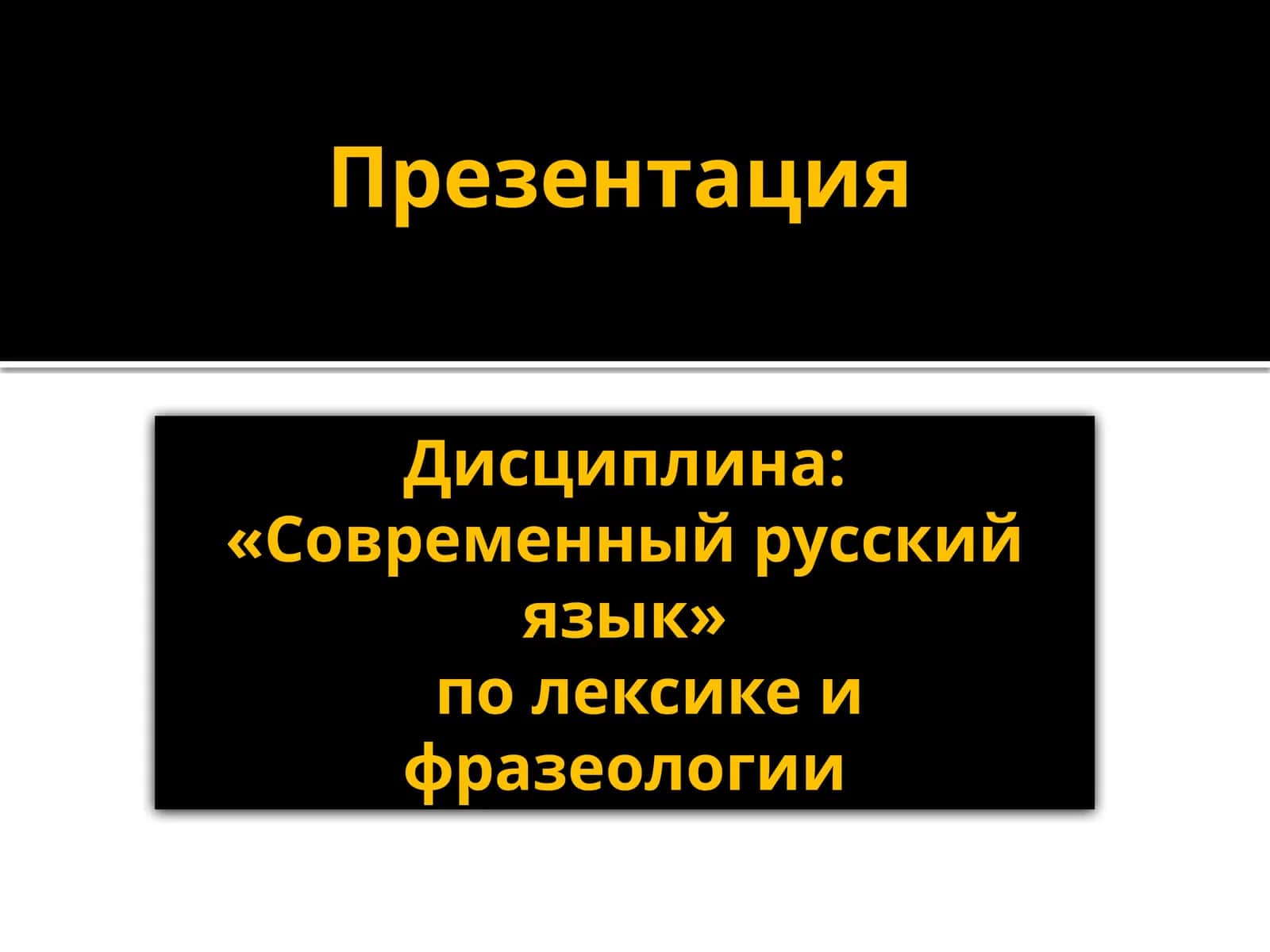 Современный русский язык по лексике и фразеологии 1