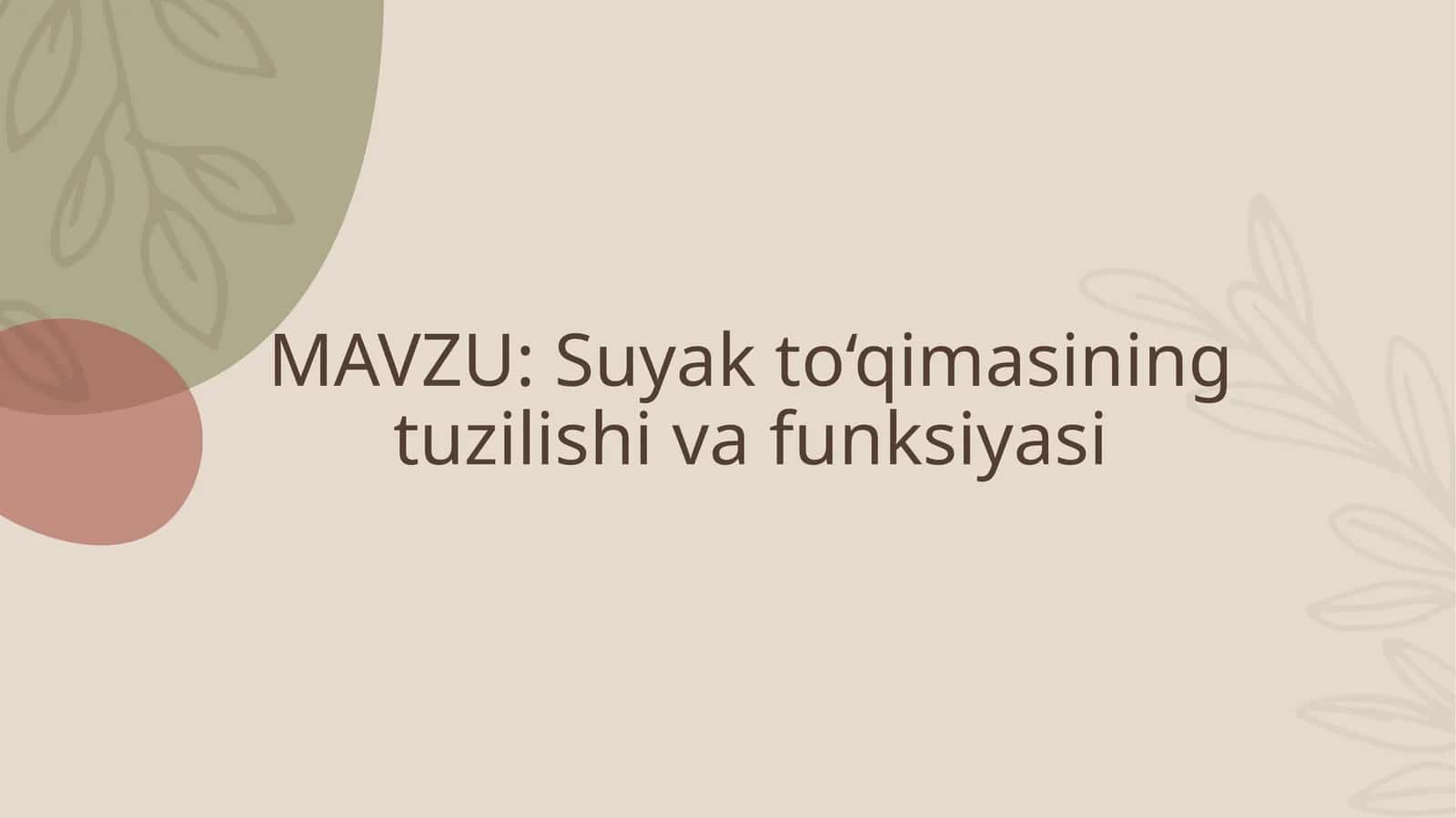Suyak to‘qimasining tuzilishi va funksiyasi 1