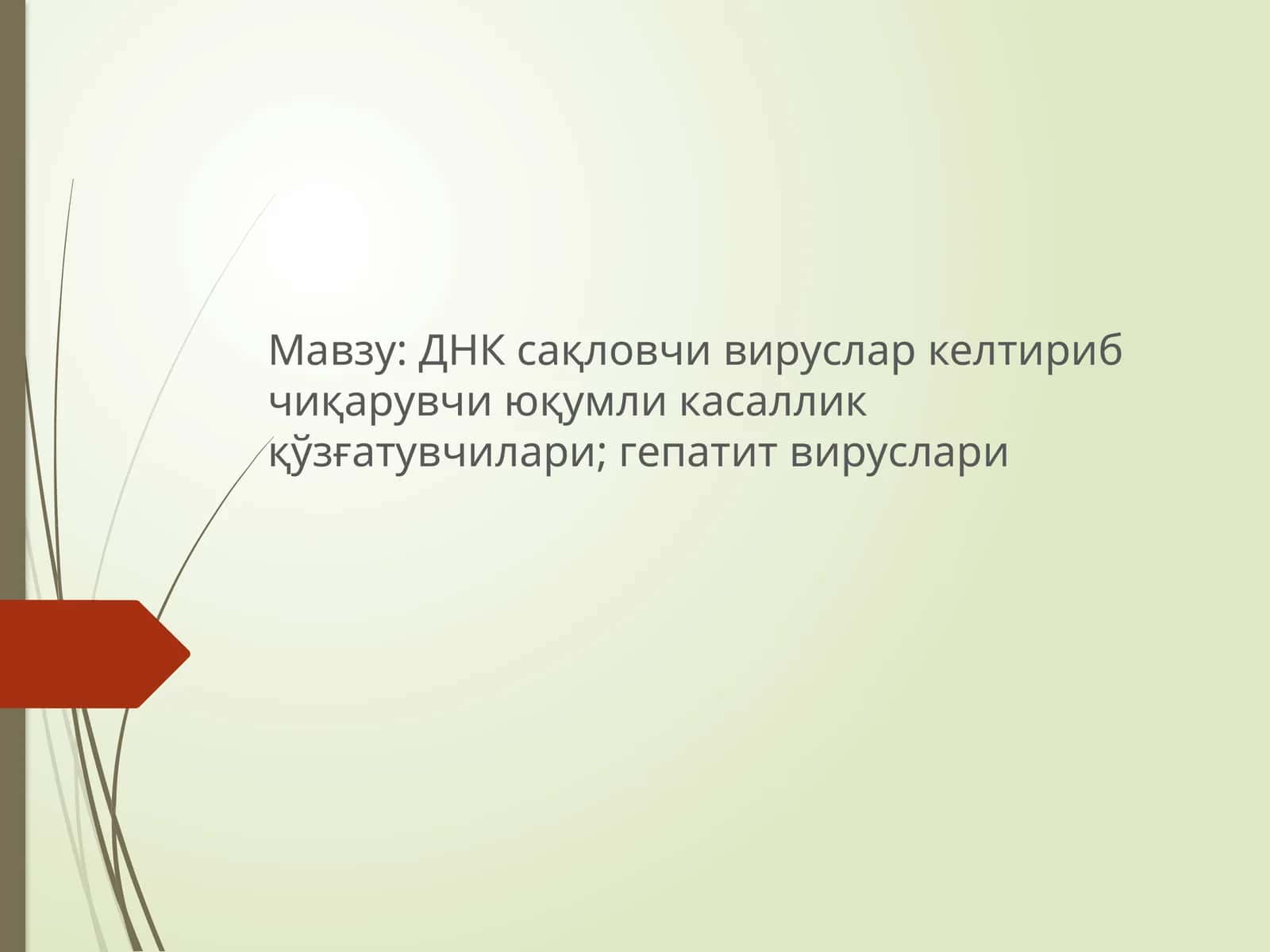 ДНК сақловчи вируслар келтириб чиқарувчи юқумли касаллик қўзғатувчилари; гепатит вируслари 1