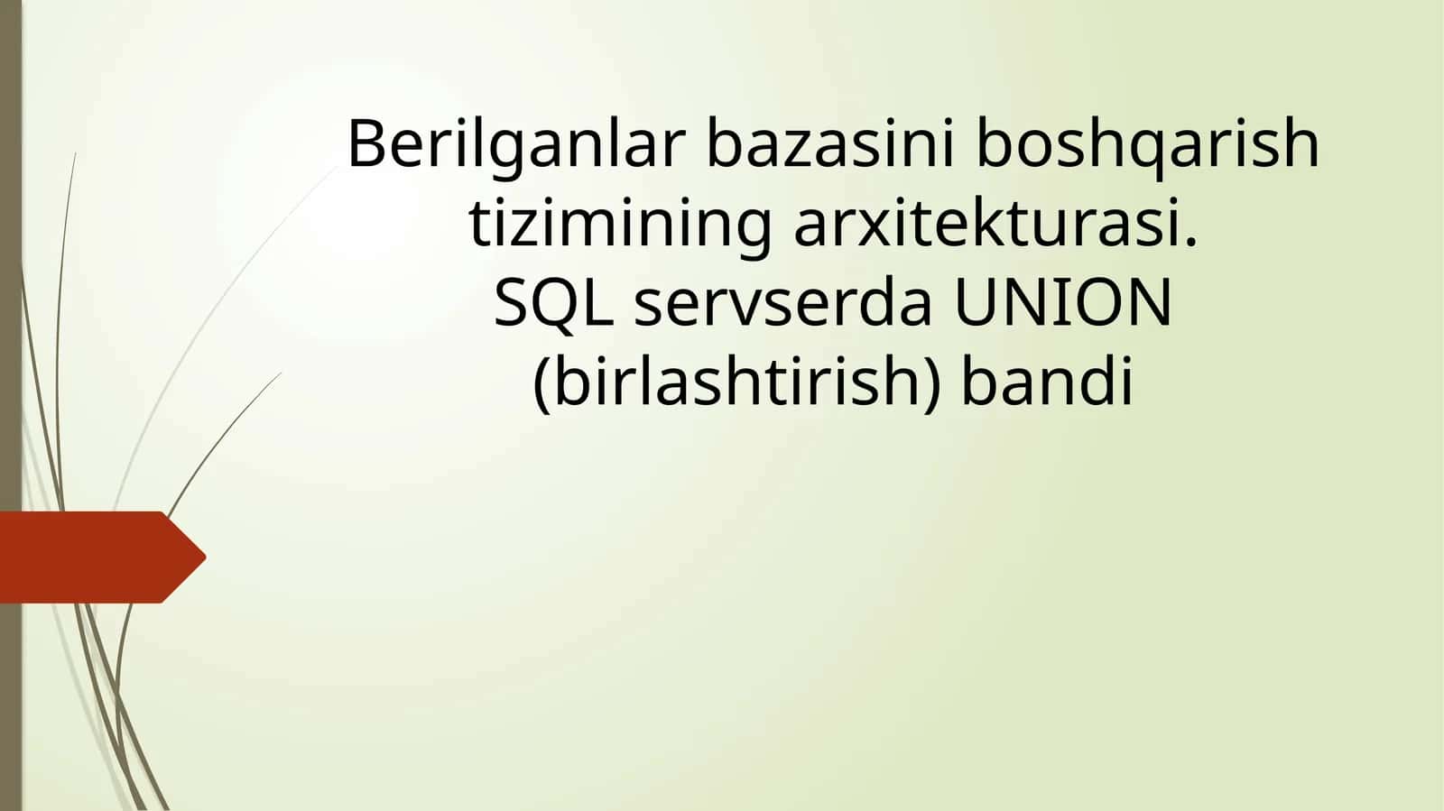 Berilganlar bazasini boshqarish tizimining arxitekturasi. SQL serverda UNION (birlashtirish) bandi 1