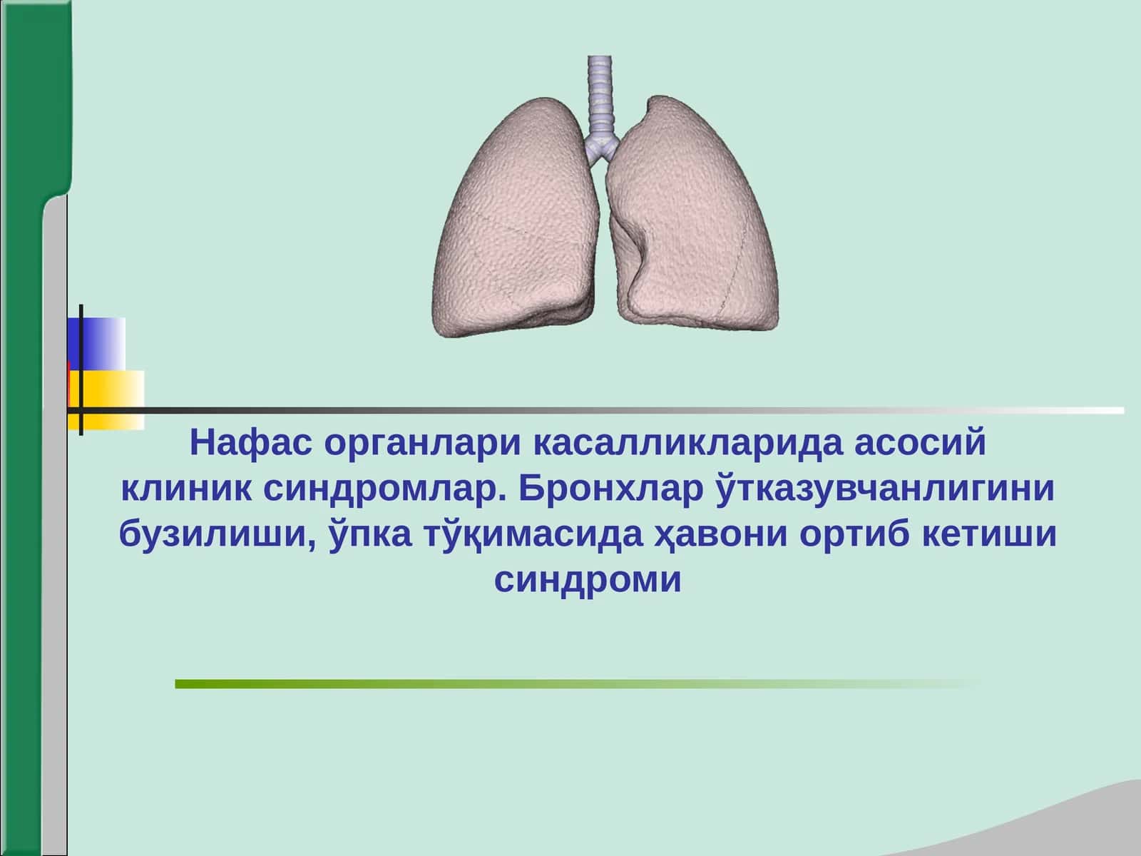 Нафас системаси касалликларидаги асосий клиник синдромлар 1