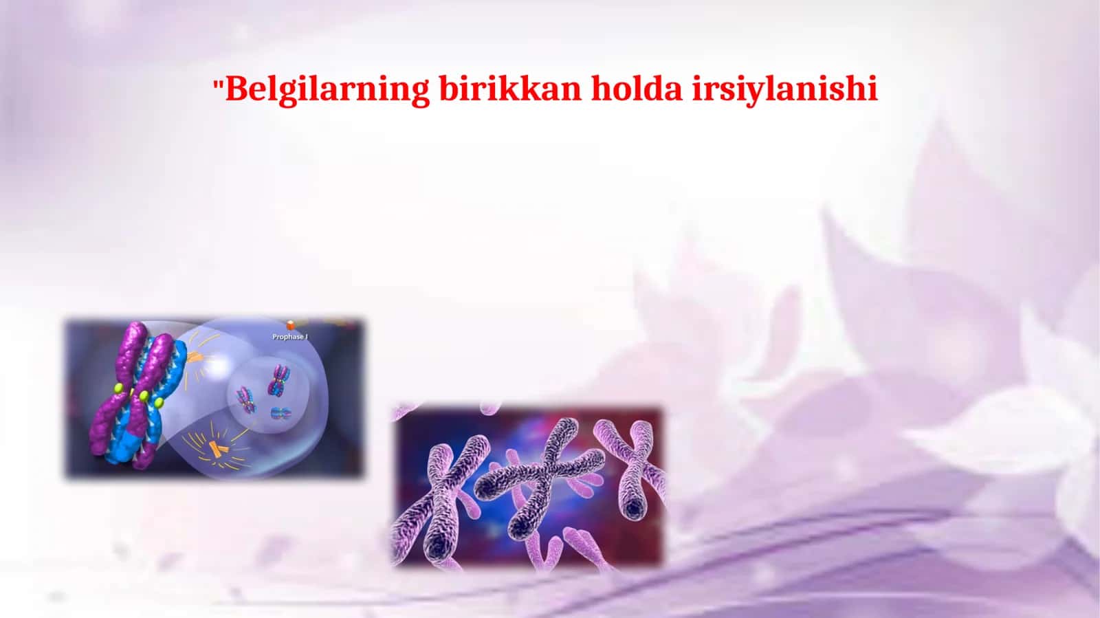 Xromosomalar va jinsning birikkan holdairsi 1