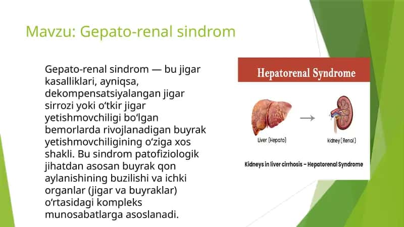 Gepato-renalsindrom 1