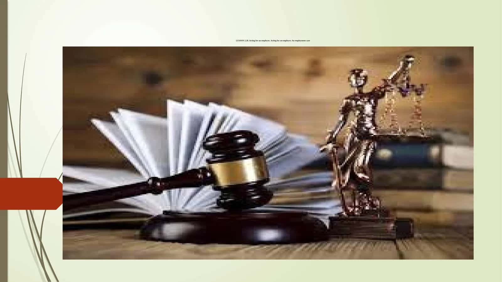 LESSON 2.28. Acting for an employee. Acting for an employer. An employment case 1