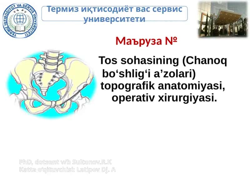 Тос соҳаси клиник анатомияси 1