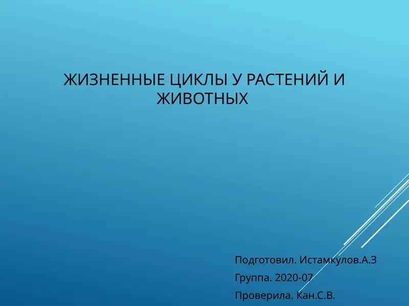 Жизненные циклы у растений и животных 1