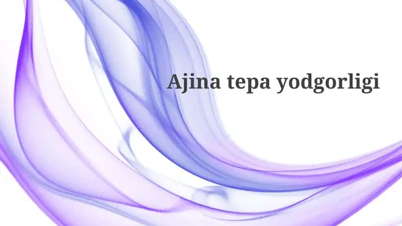 Ajina Tepa Muzeyi 1
