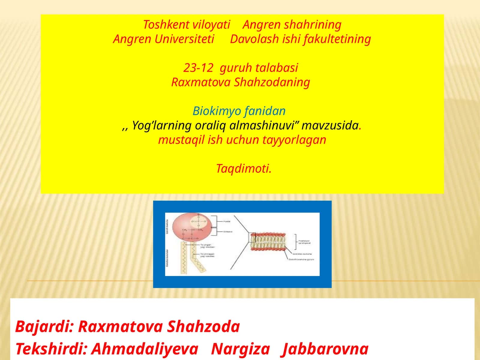YOG’LAR (LIPID) HAQIDA 1