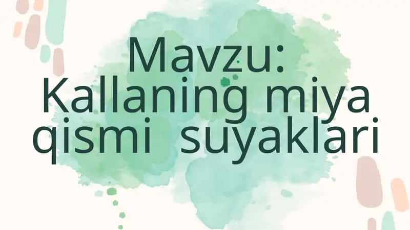 Kallaning miya qismi suyaklari 1