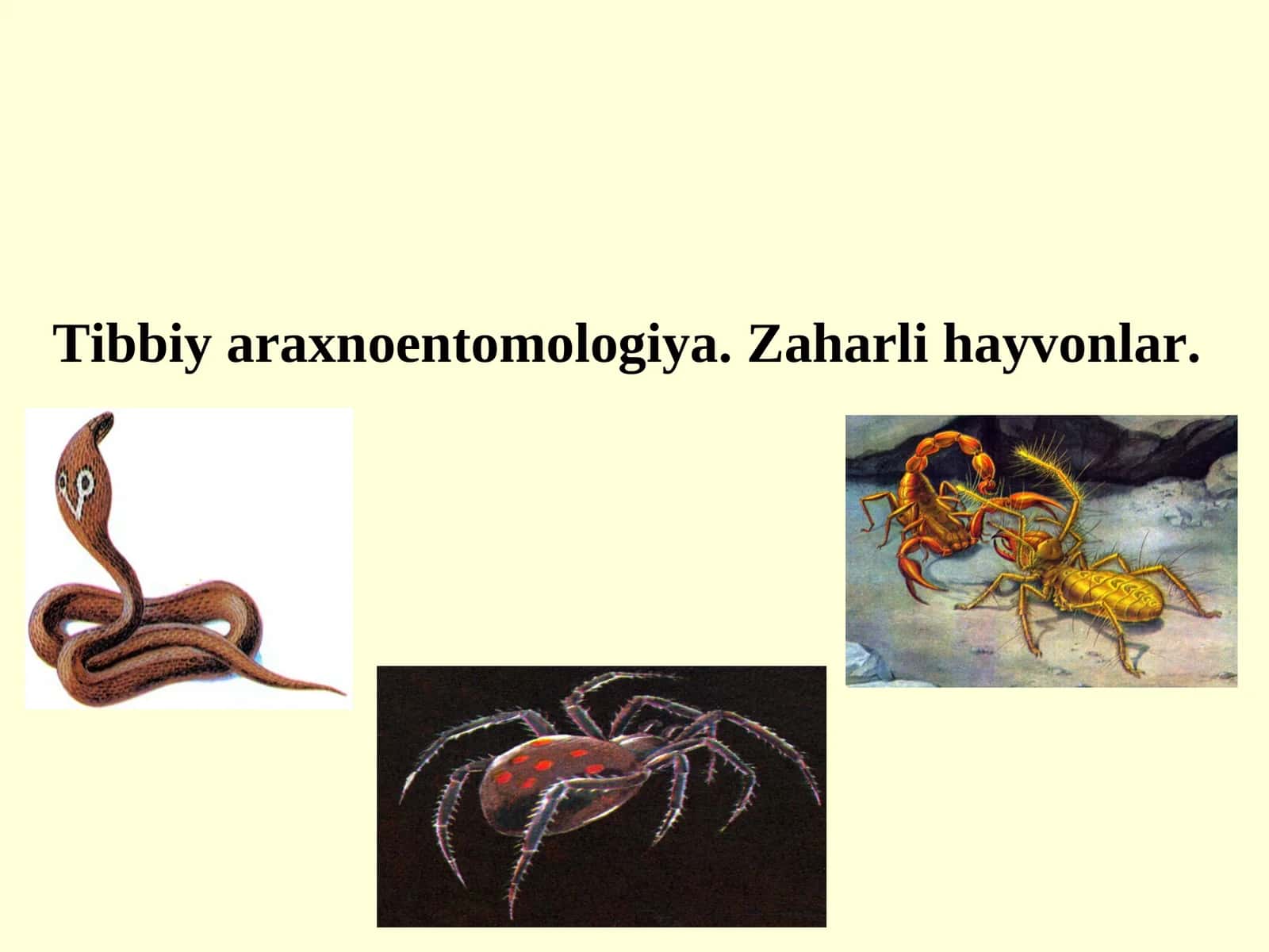 Tibbiy araxnoentomologiya. Zaharli hayvonlar 1