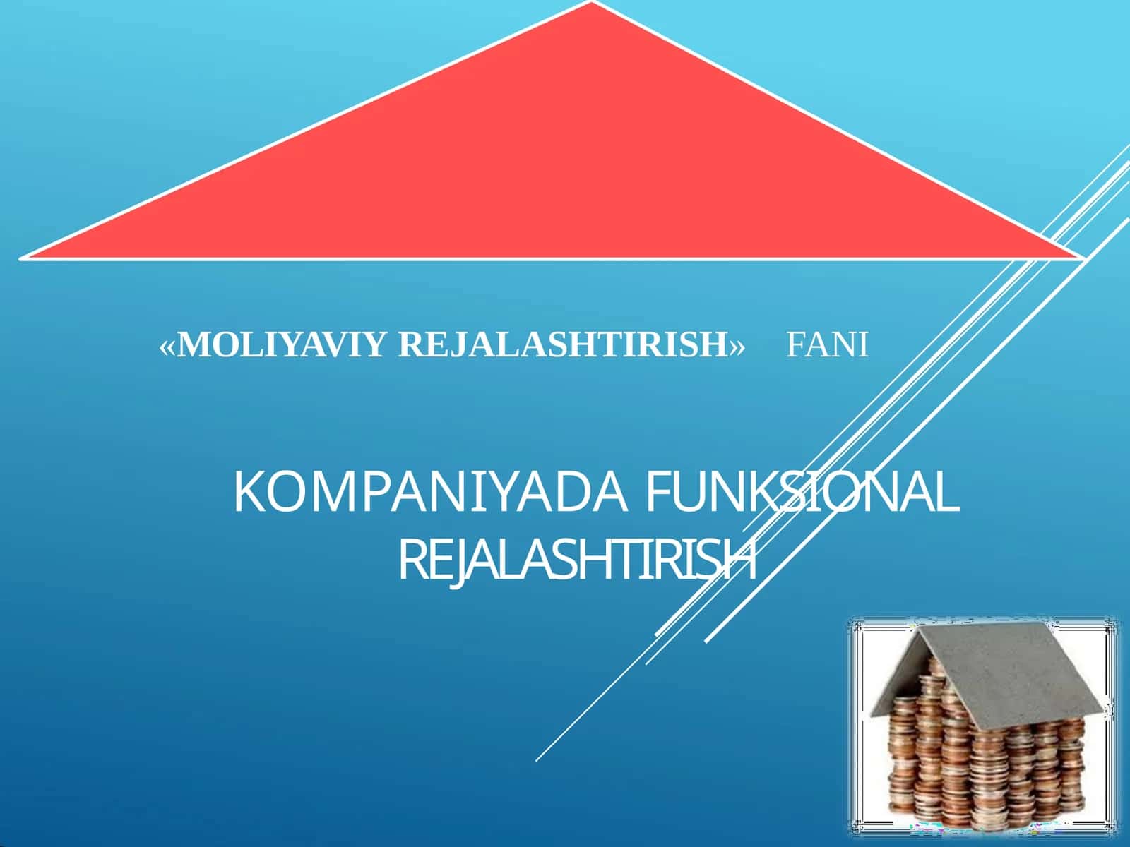 KOMPANIYADA FUNKSIONAL REJALASHTIRISH 1