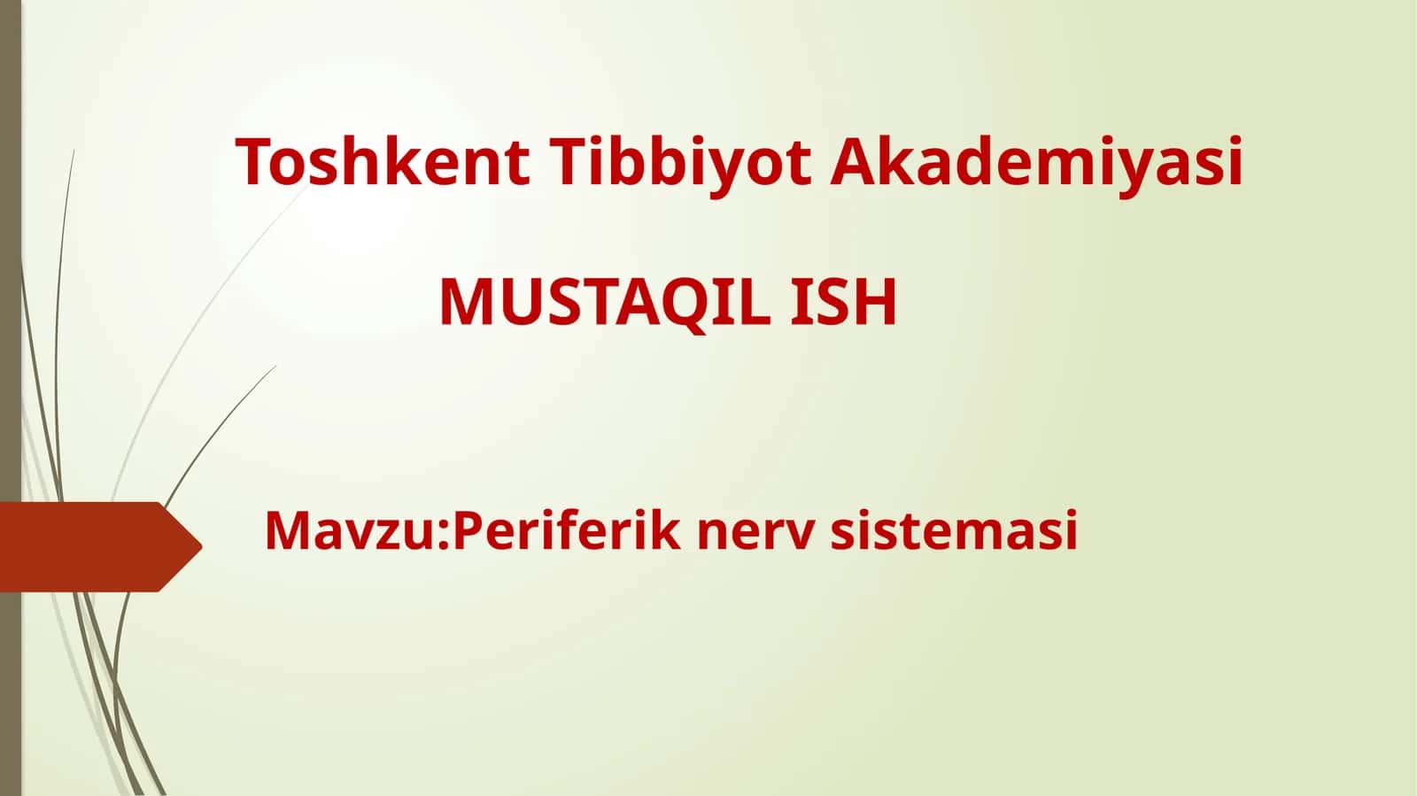 Periferik nerv sistemasi 1