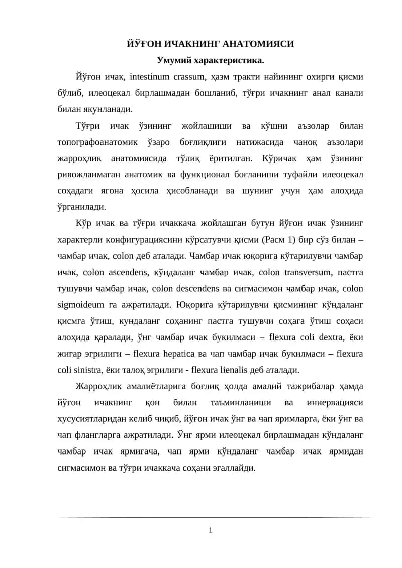 ЙЎҒОН ИЧАКНИНГ АНАТОМИЯСИ 1