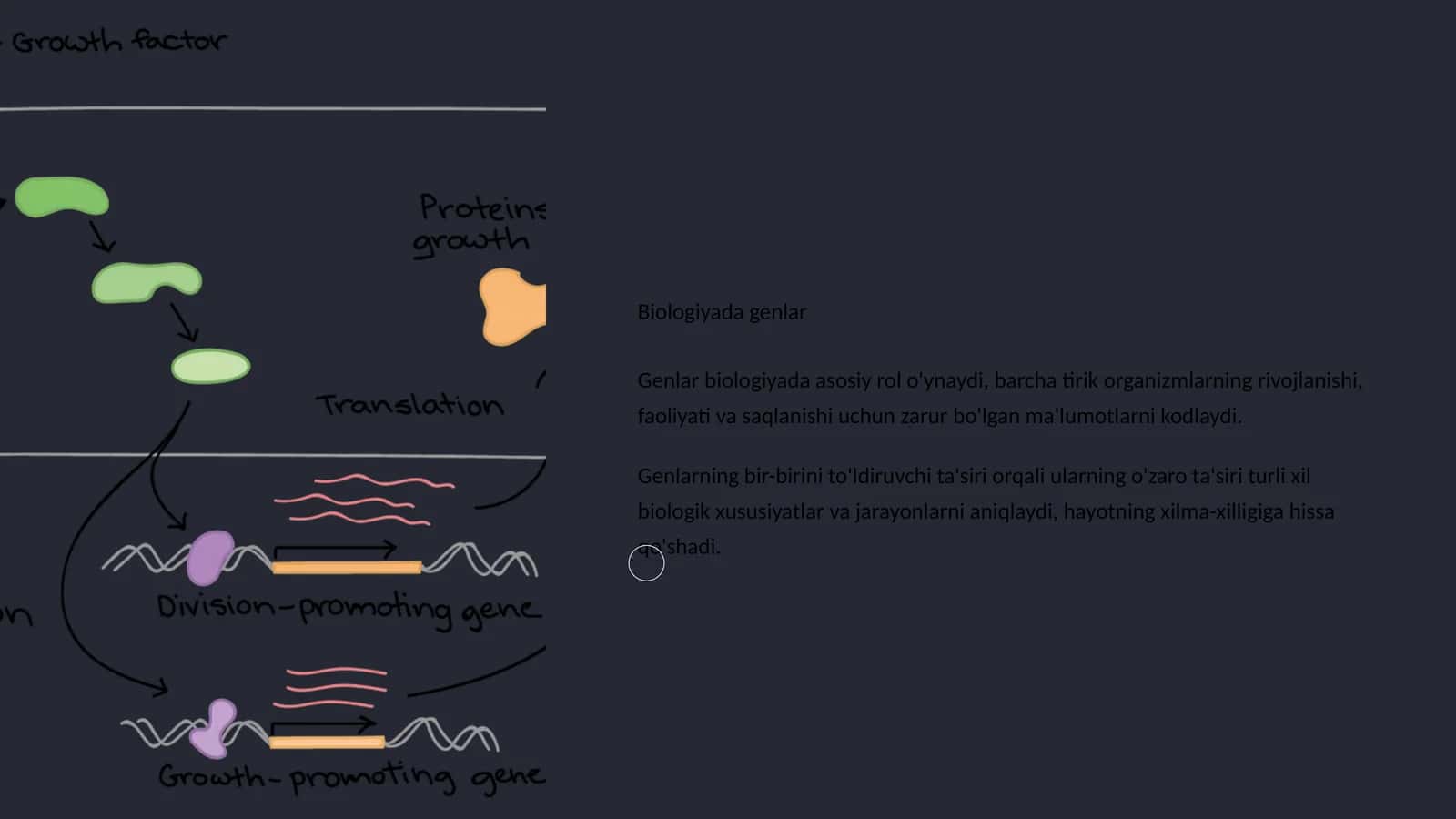 Biologiyada genlar 1