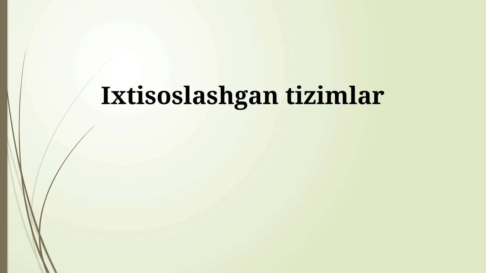 Maxsus Tizimlarni Amalga Oshirish 1