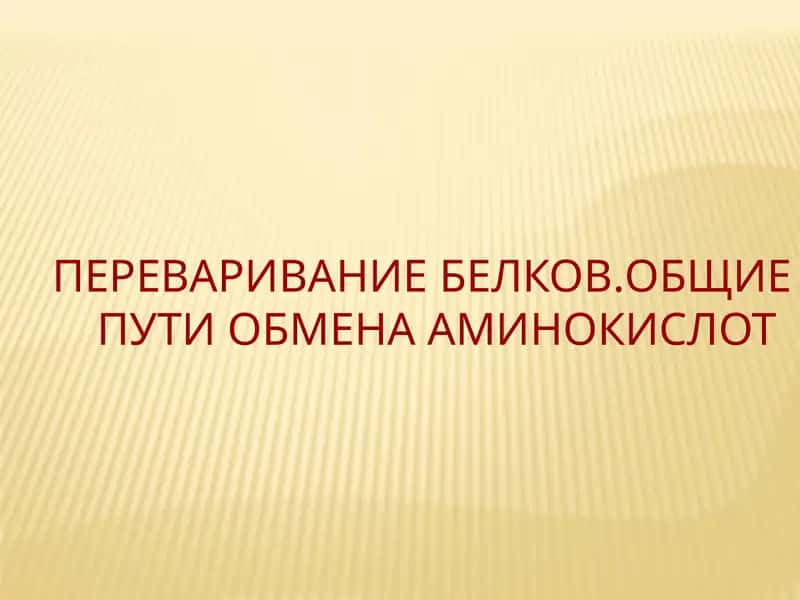 Переваривание белков. Общие пути обмена аминокислот 1
